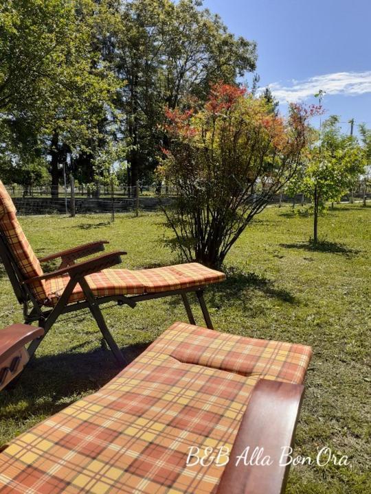 B&B Alla Bon'Ora Volpago del Montello Екстер'єр фото